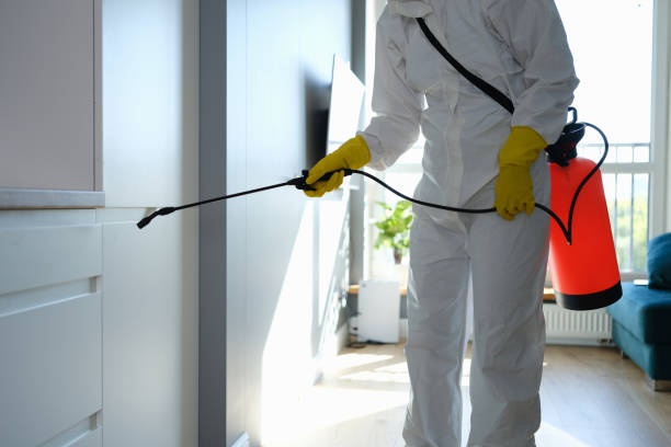 Best Residential Mold Remediation in Liberty, KY